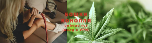 спайс Дмитриев