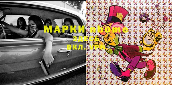 дживик Ельня