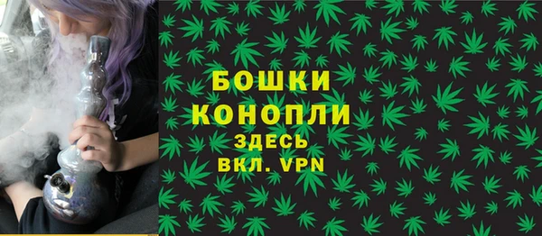 спайс Дмитриев