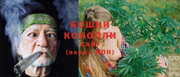 спайс Дмитриев