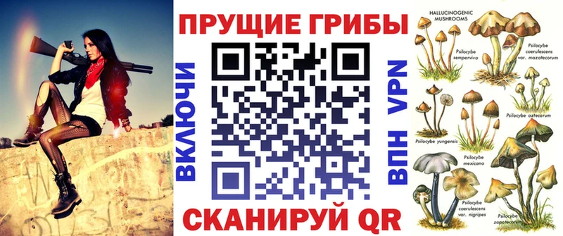 Псилоцибиновые грибы MAGIC MUSHROOMS Правдинск